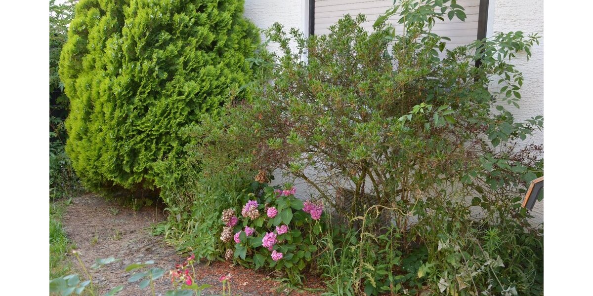 Garten weiteres Bild 