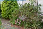 Neu in unserem Immobilienteam Familienhaus in ruhiger Lage - Einfamilienhaus Germersheim Germersheim | Angebot:26904558